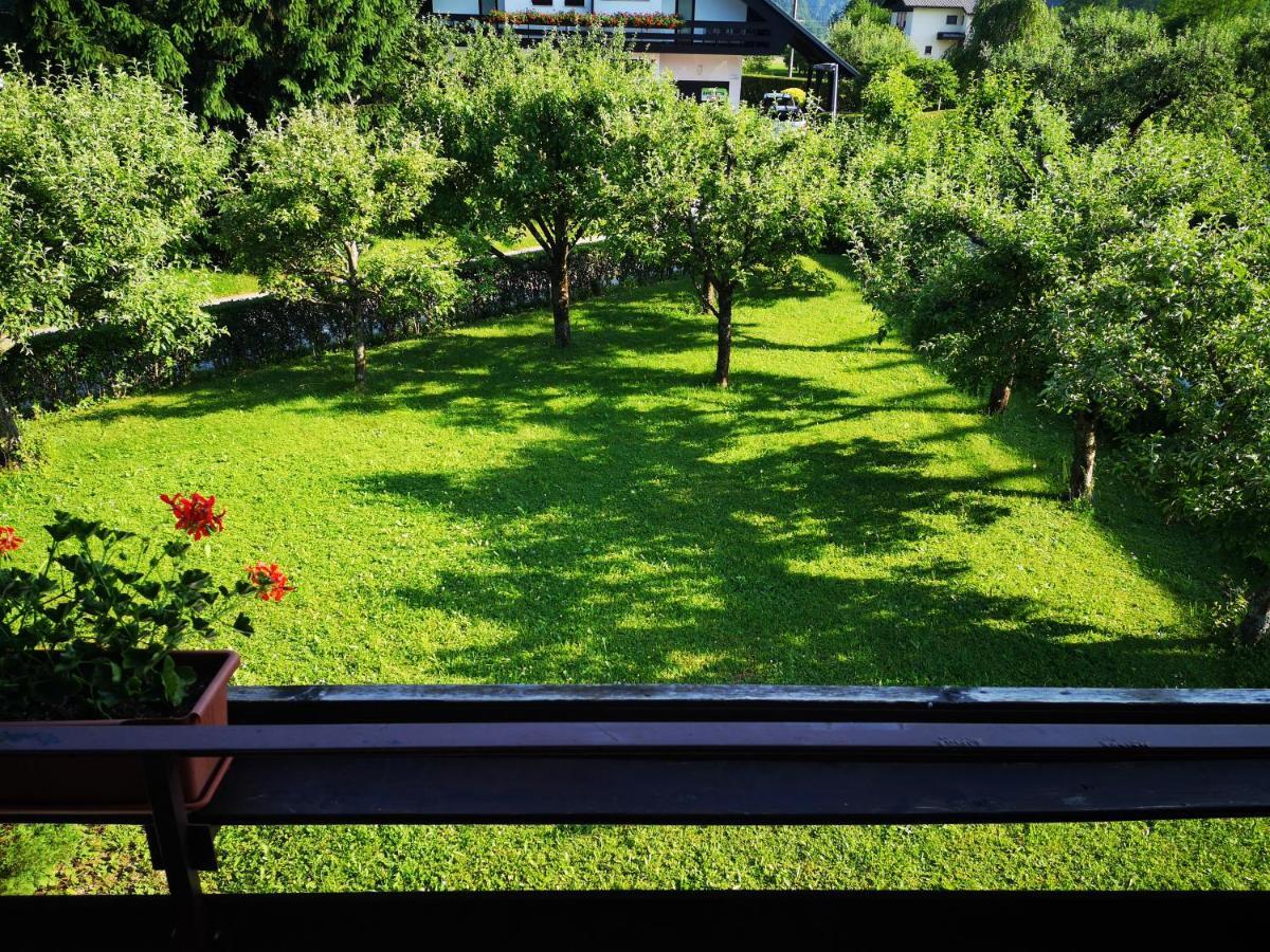 Jaka Apartments ブレッド エクステリア 写真
